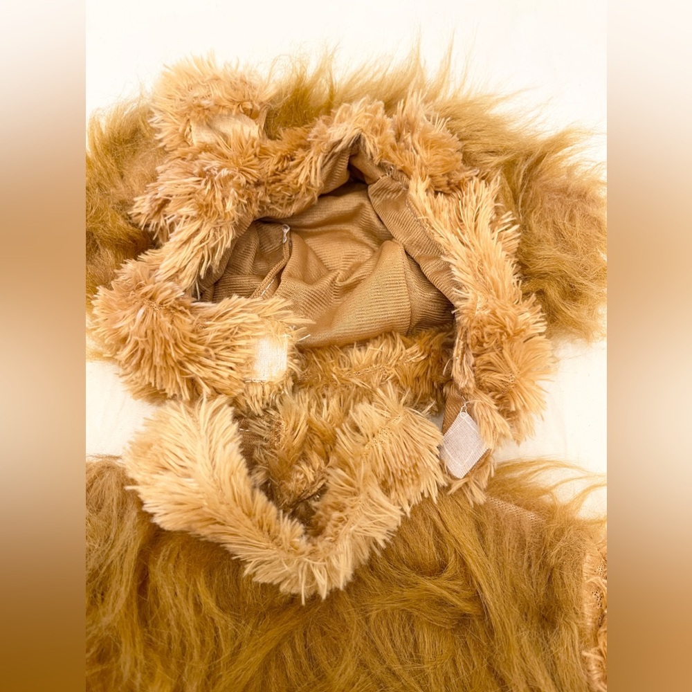 Lion Cub 🦁 NWOT - Picture 4 of 7